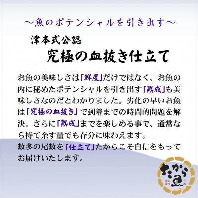 ふるさと納税 松浦市 おいしかタイ約1.2kg　〜津本式の血抜き仕立て〜 |  | 01