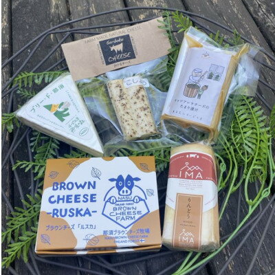 【ふるさと納税】那須のチーズ入門セット(5種×各1個)【配送不可地域：離島】【1678598】