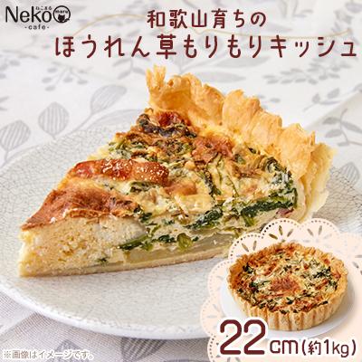 ふるさと納税 橋本市 和歌山育ちのほうれん草もりもりキッシュ