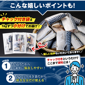 訳あり・傷あり ご家庭用さば切身パック(計1kg・柚子昆布鯖) サバ 鯖 海産物 海鮮 おかず 惣菜 焼き魚 切り身 ジップロック チャック付き袋 簡単調理 【グローバルフーズ】akn061-33