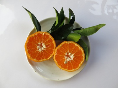 先行予約【訳あり 無農薬】みかん３種（計３kg）おまかせ食べ比べセット　お楽しみ 柑橘 フルーツ【R00241】
