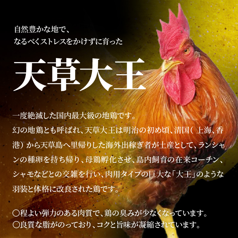 S081-018_天草大王 BBQセット