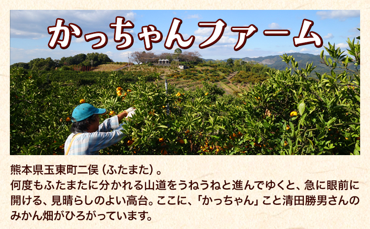 ご家庭用『かっちゃんファーム』のご家庭用みかん★ 約10kg【2S-2Lサイズ(大小サイズ混合)】 自然本来のおいしさ！《1月上旬-1月末頃出荷》
