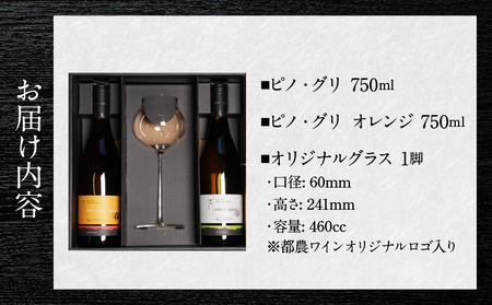 先行予約≪数量限定≫都農ワイン ピノグリ2本&グラスセット 酒 飲料 アルコール 国産 ロナ_T014-021