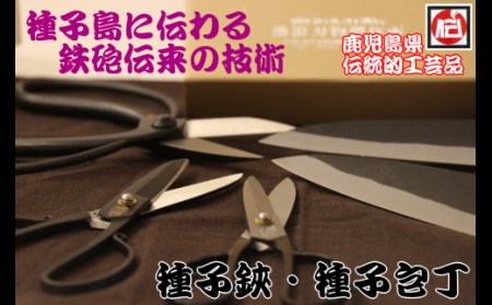 種子島 伝統工芸 種子 鋏 (たねばさみ) ５寸 黒仕上 木箱入　NFN160【975pt】