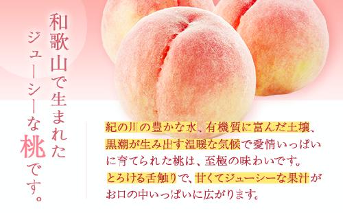 【産直・人気の特産品】和歌山の桃　約4kg・秀品◇ ｜ モモ 国産 フルーツ お取り寄せ ギフト
※北海道・沖縄・離島への配送不可
※2025年6月下旬～8月上旬頃に順次発送予定