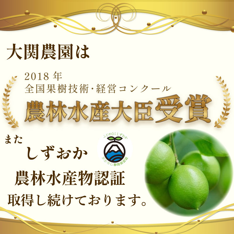 【農林水産大臣賞 先行予約 国産 レモン】選べる 内容量 グリーンレモン 2kg れもん 酸味 甘み 防腐剤不使用 大関農園 静岡県 牧之原市