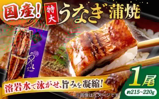 【お中元対象】うなぎ老舗専門店のパリっとふっくら国産うなぎ 蒲焼1尾(蒲焼のタレ付き) 島根県松江市/株式会社山美世商会 [ALDC003-998]｜国産 うなぎ ウナギ 鰻 特大 蒲焼き 蒲焼 国産 冷凍 うな重 ひつまぶし 丑の日 土用の丑の日 人気