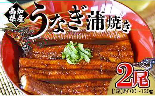 【大人気！】高知県産 うなぎ蒲焼き 100～120g 2尾セット