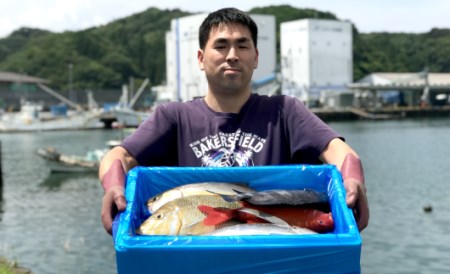 新鮮土佐魚の詰合せセットB
