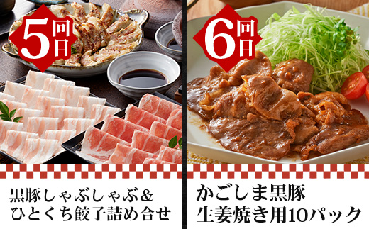 【全12回】至福の かごしま黒豚 味わい定期便 NS-37 | 鹿児島 かごしま 豚 豚肉 ぶた おかず しゃぶしゃぶ 餃子 味噌漬け 生ハム 生姜焼き ハンバーグ ウインナー ハム ソーセージ 焼き