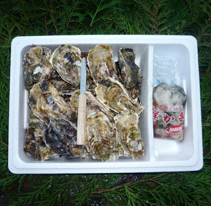 【ふるさと納税】【能登半島地震復興支援】魚介類 牡蠣 / 能登かき / むき身と殻付きセット・加熱用［むき身500g・殻付き25個～30個］ ※2025年12月上旬～2026年5月上旬頃に順次発送予定 ※離島への発送不可