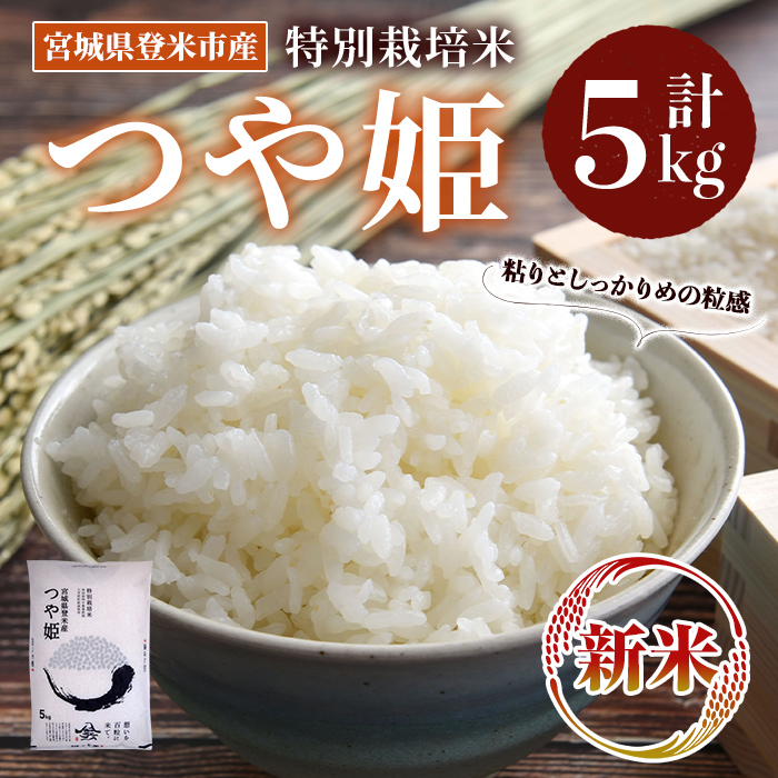 ≪令和7年産 新米≫ 特別栽培米 つや姫 5kg (5kg×1袋)  登米市産 お米 おこめ 米 コメ 白米 ご飯 ごはん おにぎり お弁当 【登米ライスサービス株式会社】tm154