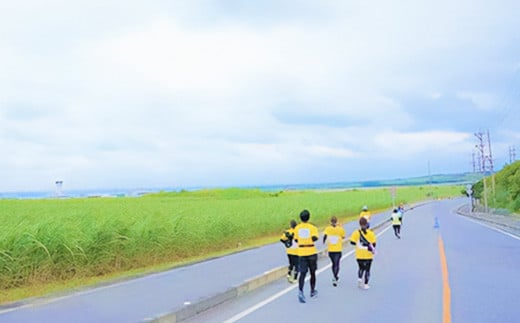【限定30名】第24回石垣島マラソン ハーフマラソン出走権