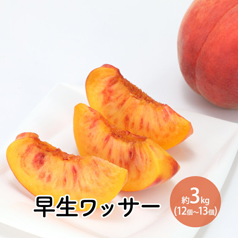 【ふるさと納税】早生ワッサー約3kg（12個～13個） 　お届け：2025月7月下旬～8月上旬まで
