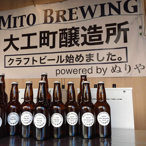 第１回水戸さきがけビジネス大賞 優秀賞受賞！【ぬりや】クラフトビール12本詰め合わせ（GW-2）