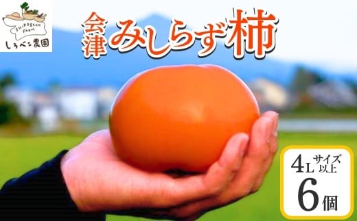61-A しろべこ農園の会津みしらず柿 4Lサイズ以上6個入り ※2025年11月下旬～12月下旬頃に順次発送予定