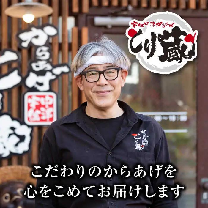 とり蔵特製からあげ しょうゆ×塩セット 900g VDT003 唐揚げ用 鶏肉