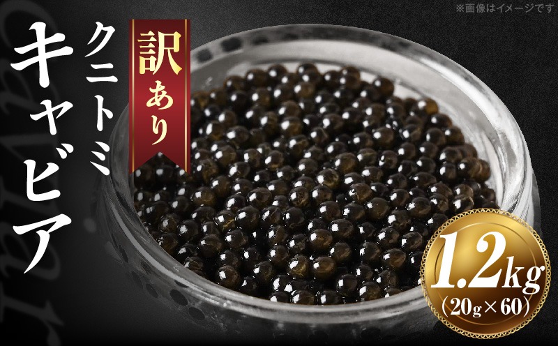 【訳あり】クニトミキャビア 1.2kgセット(20g×60)_a0200_mc