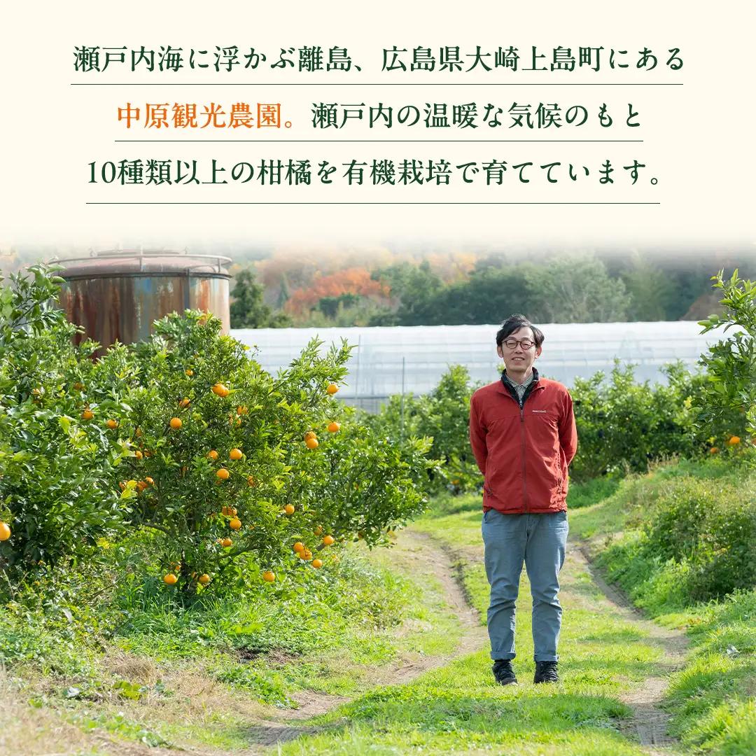 オーガニック 瀬戸内みかん 約10kg (70～130個程度) 【2026年10月中旬～1月発送】 国産 有機JAS認証