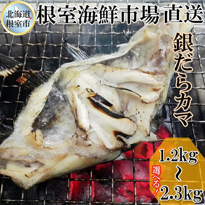 【ふるさと納税】根室海鮮市場＜直送＞銀だらカマ 選べる 1.2kg 2.3kg 銀ダラ 銀鱈 さかな サカナ 魚 北海道 根室市