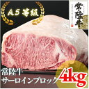 【ふるさと納税】常陸牛 A5等級 サーロインブロック 約4kg【配送不可地域：離島・沖縄県】【1518930】