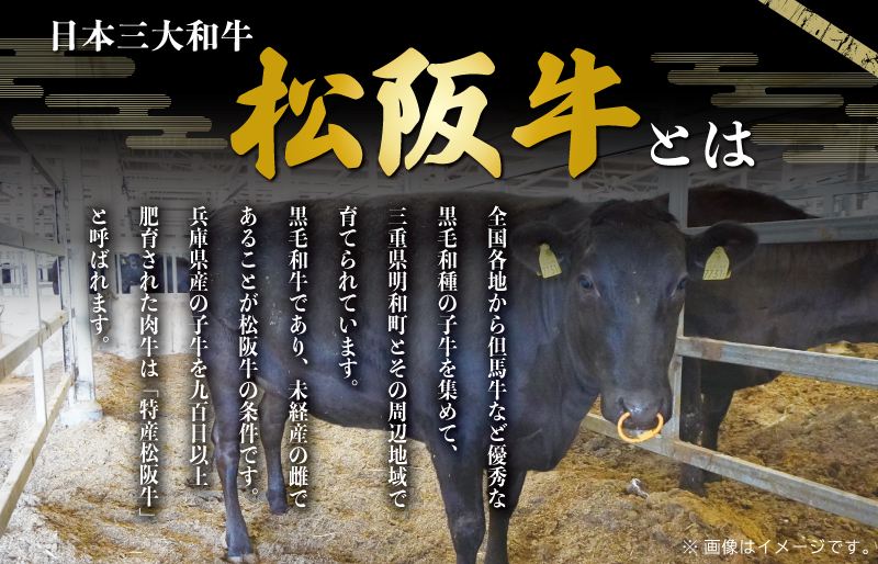松阪牛 サーロイン ステーキ 1kg （200g×5枚） 友屋本店 極上の柔らかさ 化粧箱入り 柔らかい 霜降り ブランド牛 国産 冷凍 ロース ビフテキ 松坂牛 松阪肉 和牛 牛肉 三重県 A4 A