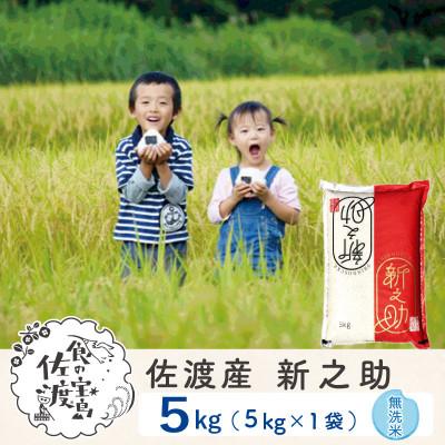 ふるさと納税 佐渡市 【新米予約】佐渡島産新之助 無洗米5Kg 令和7年