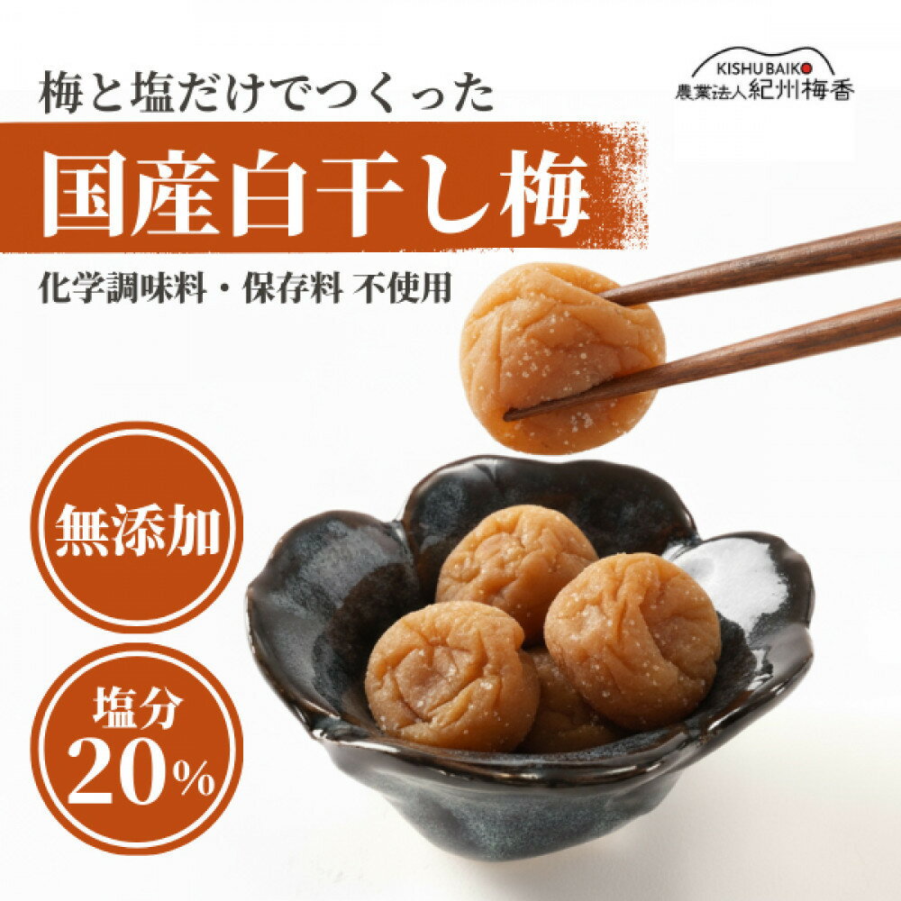 【ふるさと納税】無添加 塩だけ 昔ながらの梅干し 南高梅 紀州梅香 完熟 白干し梅 訳あり つぶれ梅1kg （500gパック×2個） 塩分20% 20-G ［KU14］ | 梅干 食品 加工食品 人気 おすすめ