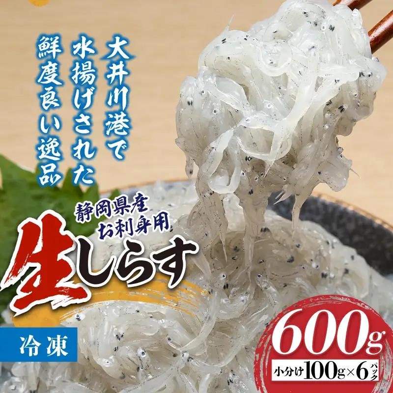 静岡県産お刺身用生しらす：100g×6パック　合計600g (a10-1266)