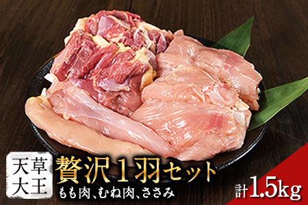 天草大王 贅沢1羽セット 約1.5kg【幻の地鶏】もも・むね・ささみ 各2枚《60日以内に出荷予定(土日祝除く)》---dg_faso1wa_60d_r7_17500_1500g---