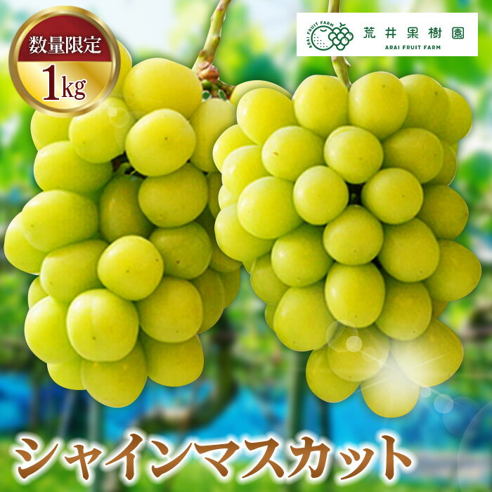 【ふるさと納税】荒井果樹園のシャインマスカット1kg　葡萄 ぶどう ブドウ フルーツ 果物 1000g 2房 数量限定［No.068］／葡萄 ぶどう ブドウ フルーツ 果物 1000g 2房 数量限定