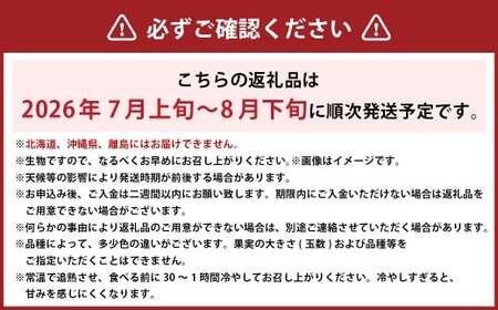 岡山白桃 ロイヤル 3玉 × 約200g 計約600g 岡山県産 （早生種・中生種） 【2026年7月上旬～8月下旬迄発送予定】 ／ 白桃 桃 もも 果物 果実 フルーツ 岡山県 美咲町 冷蔵