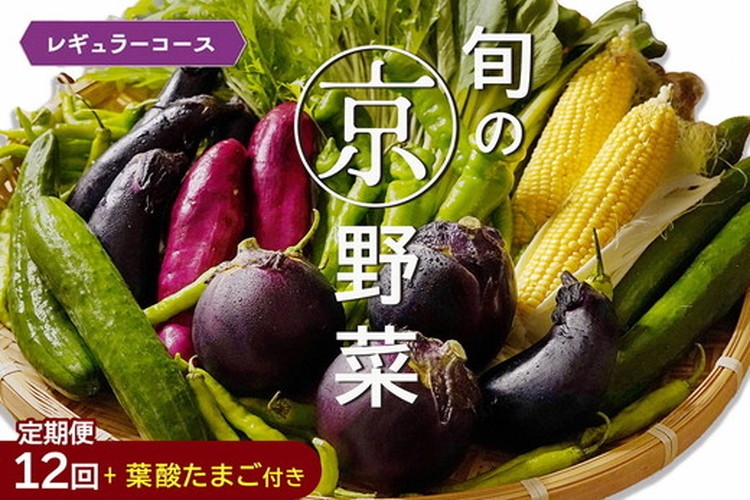 
            【12回定期便】旬の京野菜 毎月お届けレギュラーコース（全12回）＆『葉酸たまご』6個入り×1パック×3回分付《野菜定期便 野菜詰め合わせ 野菜セット 京野菜 旬の野菜 新鮮野菜 卵 野菜 定期便 12回 卵》※沖縄・離島・諸島へのお届け不可 
          