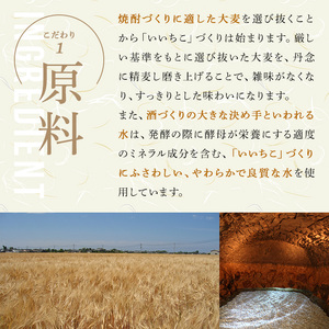 ＜数量限定＞ いいちこ 25度 パック(計9L・1.8L×5本)酒 お酒 むぎ焼酎 1800ml 麦焼酎 常温 いいちこ 三和酒類 紙パック【107303601】【時枝酒店】