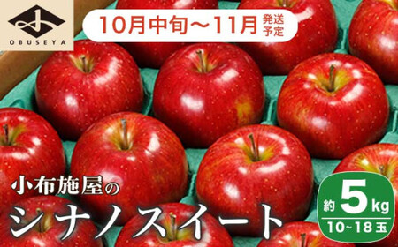 先行受付 シナノスイート 約5kg 10～18玉 ［小布施屋］令和8年産【2026年10月中旬～11月発送】［A-207］