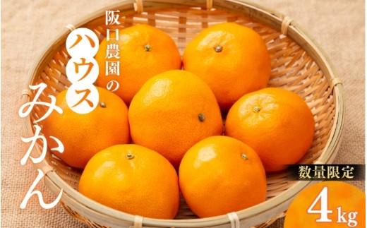 2S～2Ｌサイズ混合 4kg 阪口農園の ハウスみかん（マルチ栽培）【2026年7月中旬から7月末に順次発送予定】 / みかん 蜜柑 先行予約 数量限定 ミカン ハウス 温室