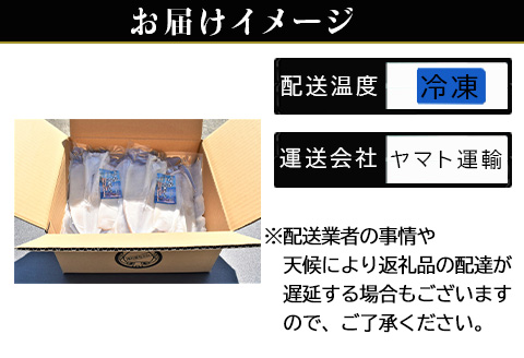 「お歳暮」海から直送！剣先イカ一夜干し いか おつまみ 干物 酒の肴「2023年 令和5年」