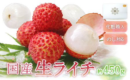 【先行予約/数量限定】綾生ライチ（化粧箱入り） / 宮崎県産  綾町 ライチ 贈答 ギフト プレゼント 希少 国産ライチ 甘い 生ライチ 果物 フルーツ ライチ 産地直送 期間限定 送料無料 お中元 ふるさと納税