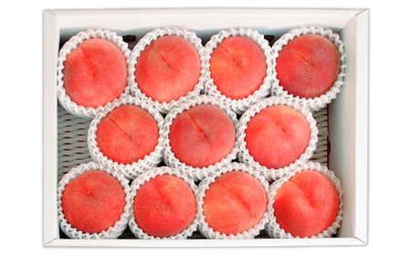 山形産 白桃 [柔らかくなる桃] 3kg(8～14玉) 秀品 品種おまかせ【令和7年産先行予約】FS24-729