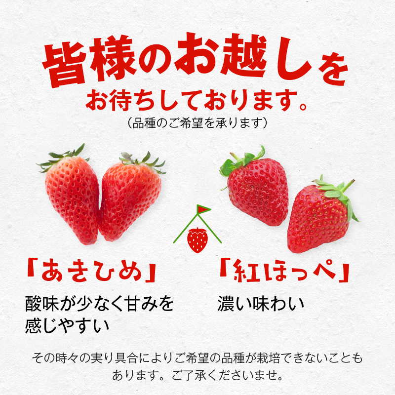 【1レーン貸切・最大60分食べ放題（土日祝・繁忙期は45分）】いちご狩り券 3名様（３才以上）愛知 体験 チケット くだもの狩り フルーツ狩り H175-008