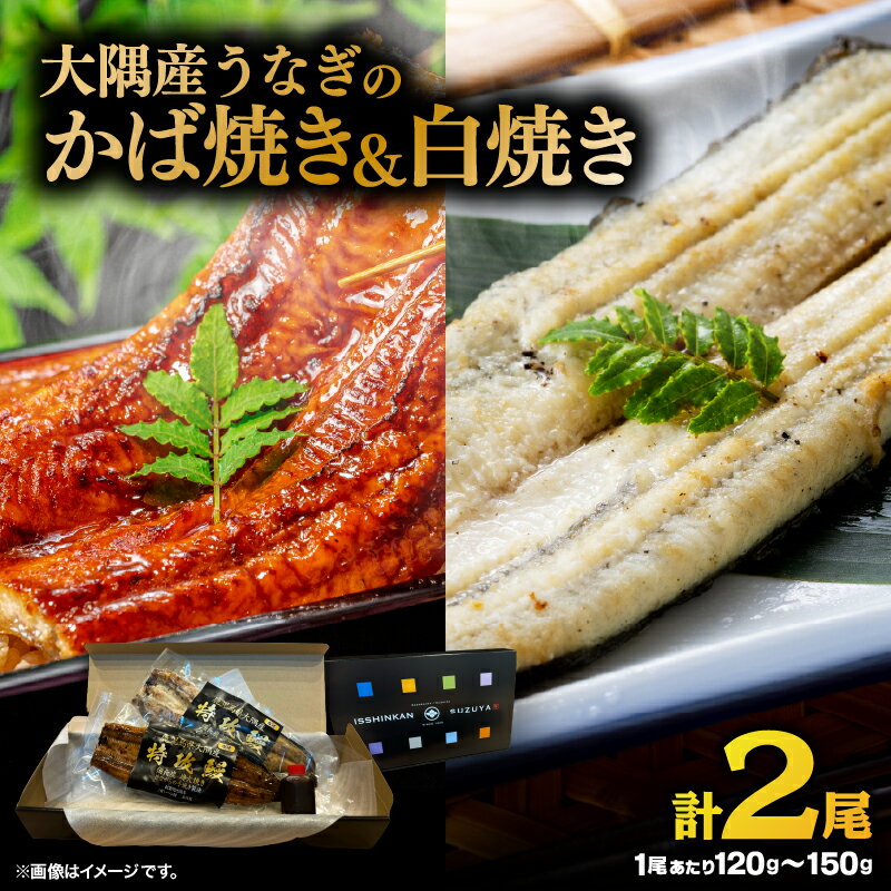 【ふるさと納税】 大隅産 うなぎのかば焼き 1尾 白焼き 1尾 うなぎ ウナギ 鰻 蒲焼き かば焼き うな丼 鰻丼 うな重 鰻重 ちらし寿司 ひつまぶし わさび醤油 土用の丑の日 丑の日 湯煎 冷凍 老舗 セット 一心館 鹿児島 鹿屋市 おすすめ ランキング プレゼント ギフト
