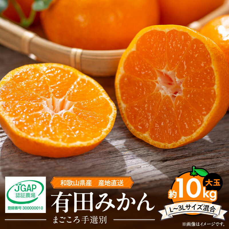 【ふるさと納税】【2025年先行予約】和歌山県産 有田みかん 10kg 大玉 (L～3Lサイズ混合)【まごころ手選別】【ミカン 蜜柑 温州みかん 柑橘 和歌山 大粒】