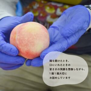 【きよとうファーム】珍しい品種の桃 もも好きのあなたに 旬採り桃 ご家庭用/5-7玉(岡山県産)【配送不可地域：離島】【1571590】