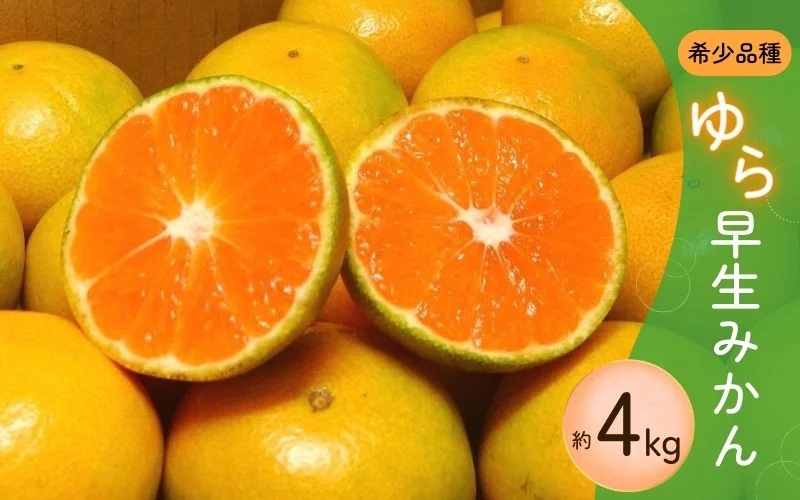 
            【ご家庭用】 【先行予約】＼数量限定／ 希少品種 ご家庭用 ゆら早生みかん 約4kg サイズ混合【2025年10月上旬頃より順次発送】【CE-nuk162B】
          