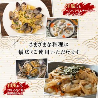 砂出し済 大粒の天然あさり2kg ふるさと納税 貝 _F4F-0384