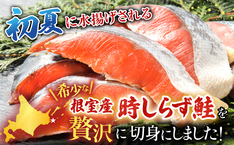 【北海道根室産】時しらず鮭切身1.5kg×1P・1切×2P F-42020