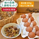 【ふるさと納税】【全6回定期便】《 鶏 の 炭火焼 と ブランド 卵 のセット》緑の農園 満喫セット糸島市 / 緑の農園 [AGA034] 63000円