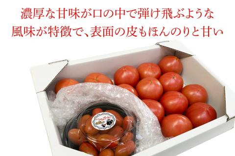 【2026年6月より順次発送】東山農園のアップルトマトとフラガール　合計約1kg｜トマト とまと 野菜 やさい 数量限定 先行予約 アップルトマト 新感覚 濃厚 フルーツ フルーツトマト 茨城県 行方