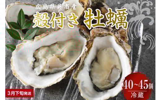 【2026年3月下旬発送】宮原水産 かき 殻付き 40～45個 ku005-013-03-3-25